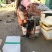 海带鲜海带水菜深海养殖一手货源运费商议