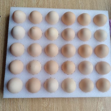 精品鸡蛋土鸡蛋130一箱360枚一箱价格美丽质量保证