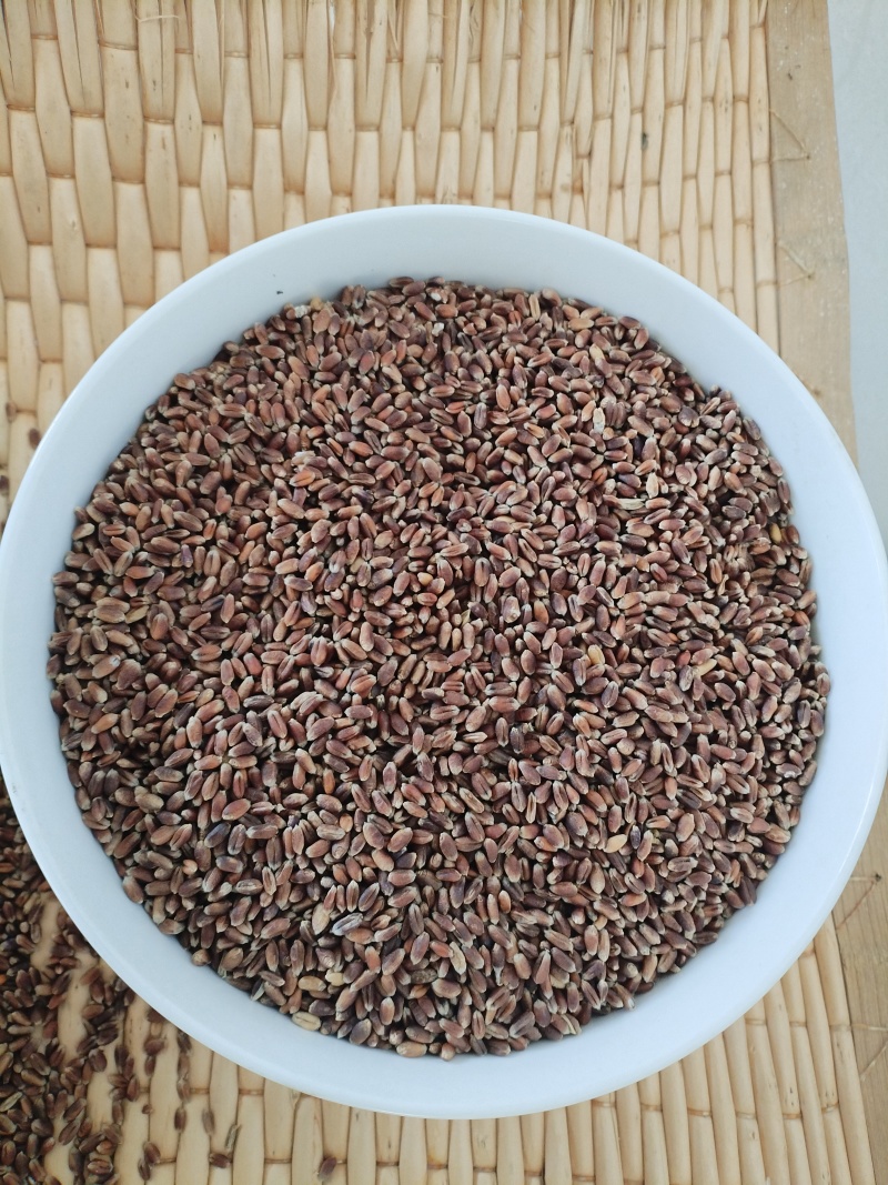 我有3吨左右黑小麦，要出售，有需要老板联系我