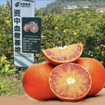 正宗塔罗科血橙上市，对接各大市场采购商电商欢迎资询