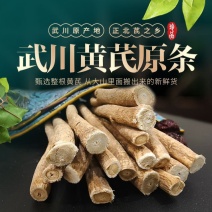 【包邮】内蒙古产地天然无熏硫黄芪节子