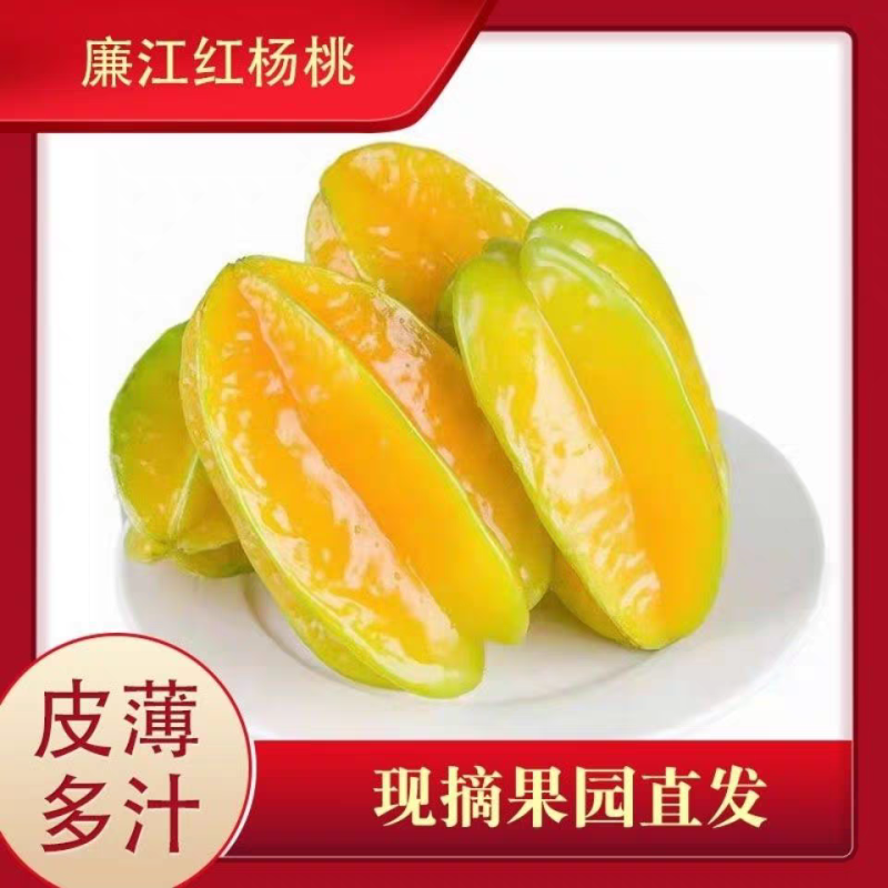 【精品推荐】广东杨桃/廉江红杨桃/产地直发/供应全国发货