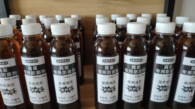 山东茜草种子，货量充足，品质佳，欢迎咨询