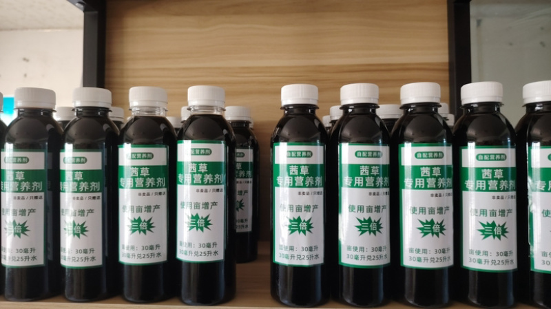 山东茜草种子，货量充足，品质佳，欢迎咨询