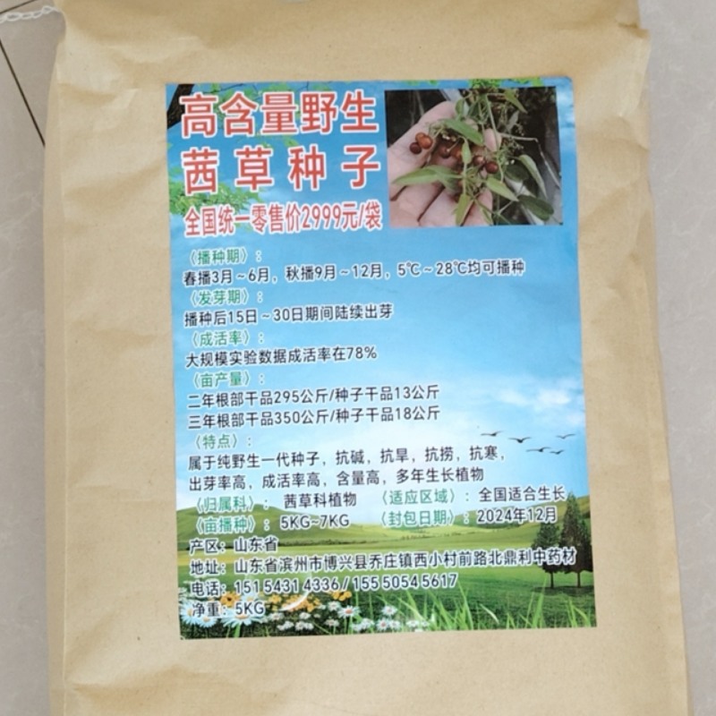 山东茜草种子，货量充足，品质佳，欢迎咨询