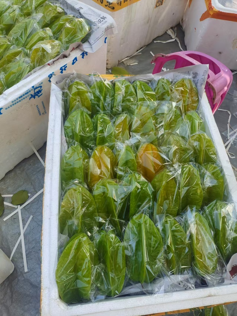 【热卖推荐】广东杨桃/广东甜杨桃/一件代发/电商直播供应