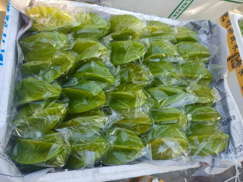 【热卖推荐】广东杨桃/广东甜杨桃/一件代发/电商直播供应