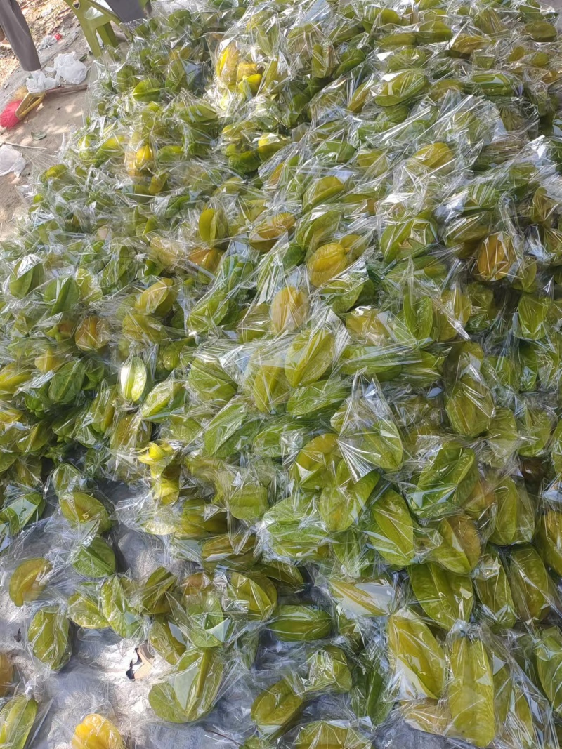 【热卖推荐】广东杨桃/广东甜杨桃/一件代发/电商直播供应