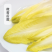 菊苣(金玉兰菜)