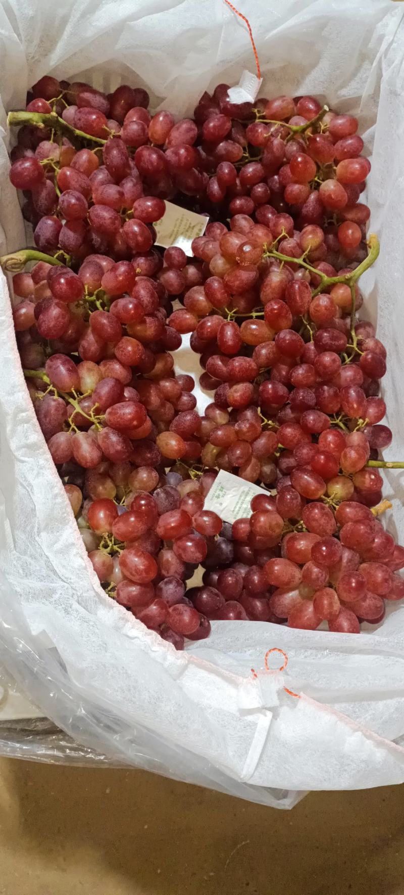 澳洲无核头茬货，克伦生无籽红提通货价格优惠需要的联系