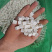 云南白茯苓中心丁厂家直销，货品齐全，价格实惠，
