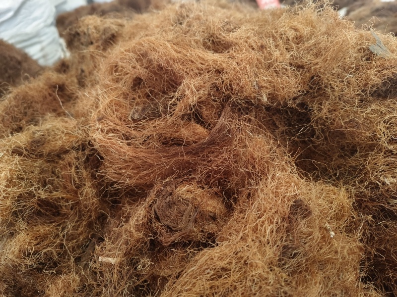 玉米须新玉米须净货手工挑选颜色鲜艳无杂质当季新货颜好