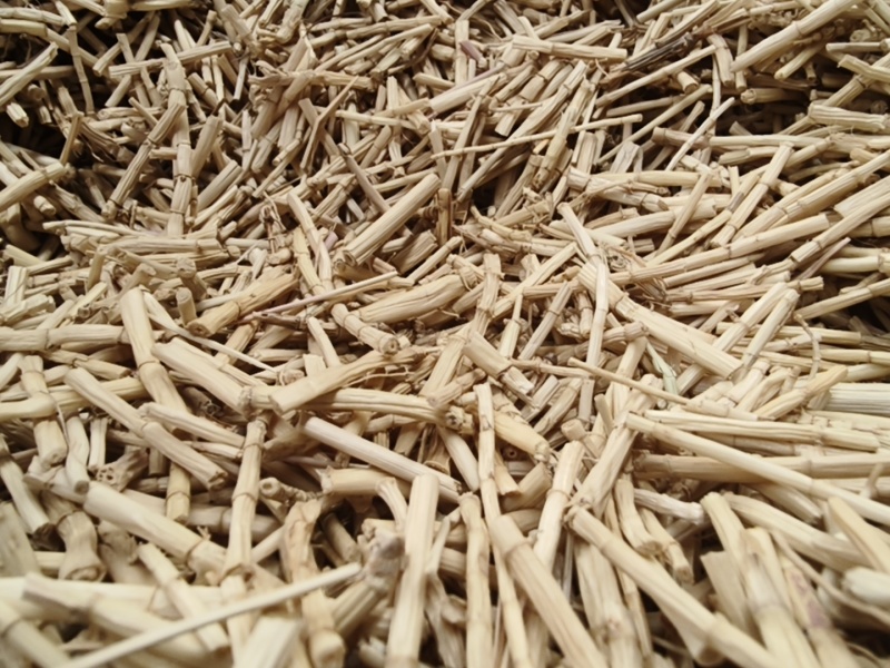 白茅根产新白茅根无硫***野生白茅根段散装发货
