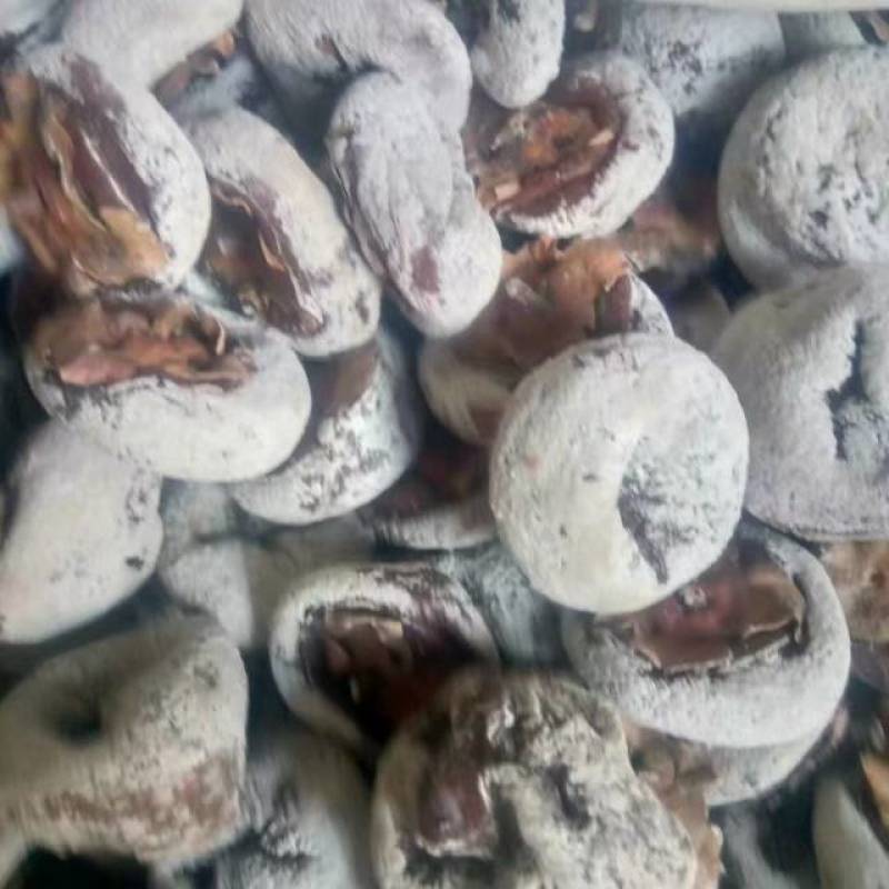 渭南特产新鲜柿饼，天然无添加，甜美可口，健康美味，尽享秋