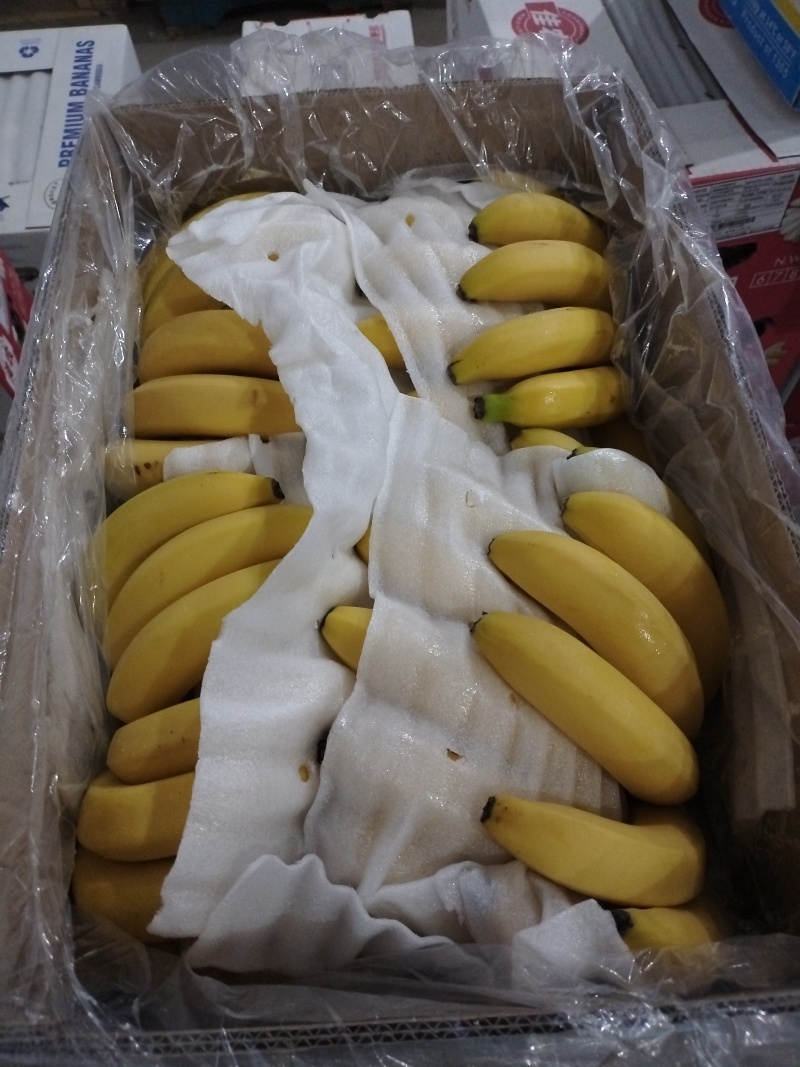 久蜜优品香蕉，优质产品量大从优，欢迎咨询选购合作共赢！