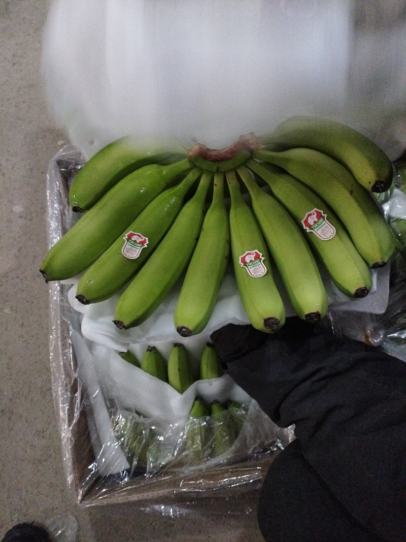 久蜜优品香蕉，优质产品量大从优，欢迎咨询选购合作共赢！