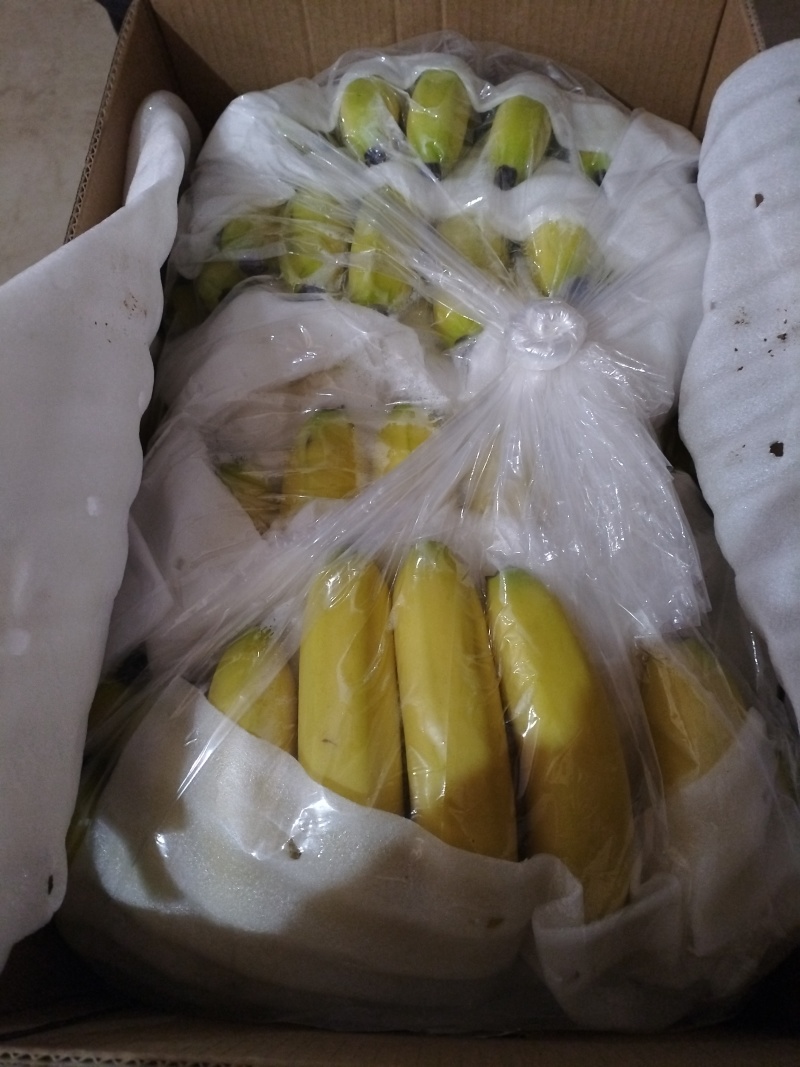 久蜜优品香蕉，优质产品量大从优，欢迎咨询选购合作共赢！