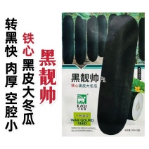 黑靚帅杂交一代冬瓜种子黑皮大冬瓜种子肉质紧实冬瓜籽种蔬菜