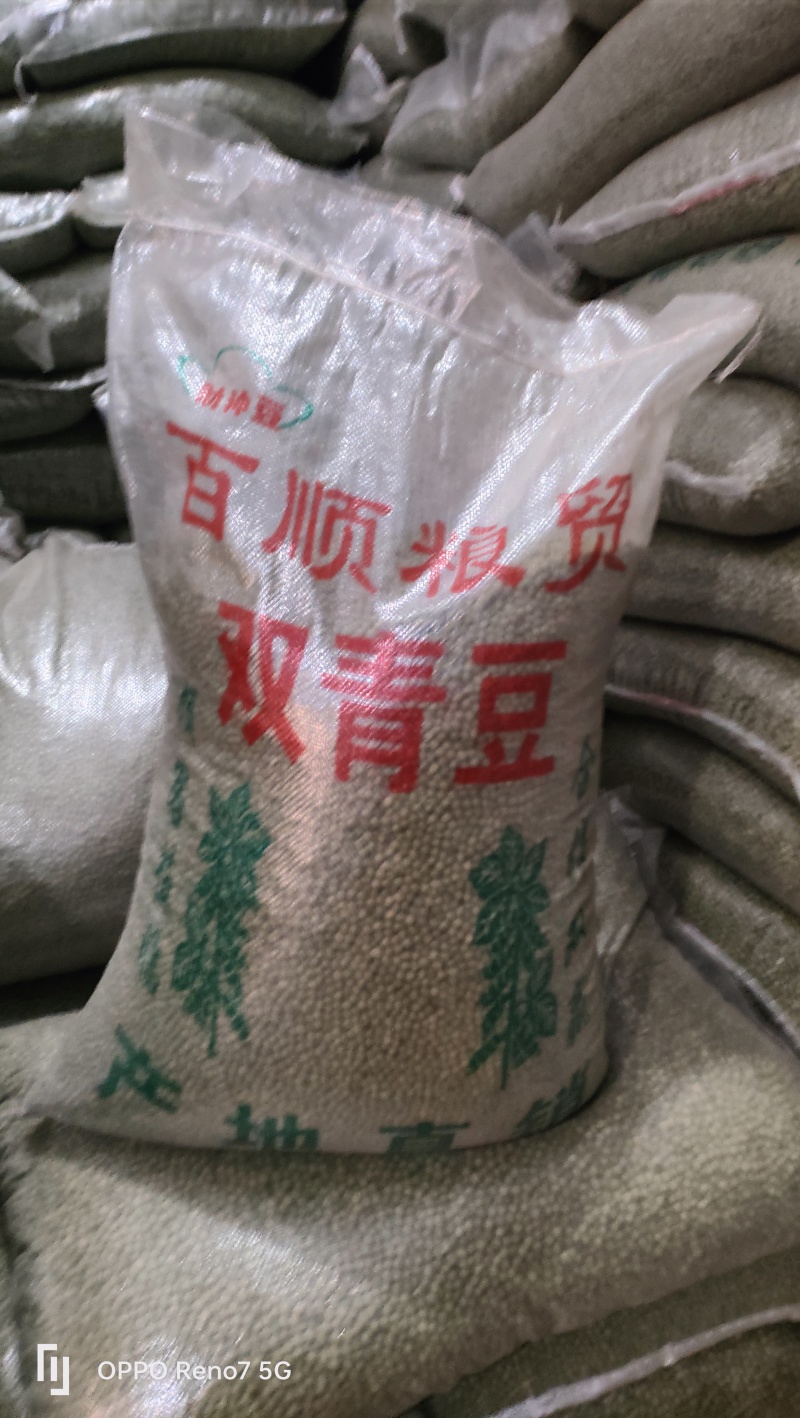 东北大中小粒，江苏双青豆《规格齐全》希望各地客商选购