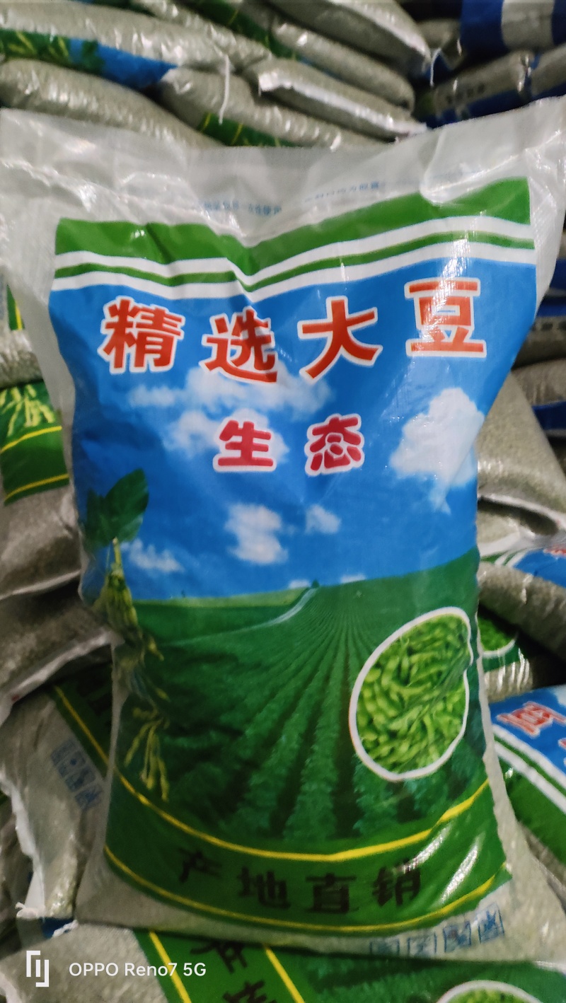 东北大中小粒，江苏双青豆《规格齐全》希望各地客商选购