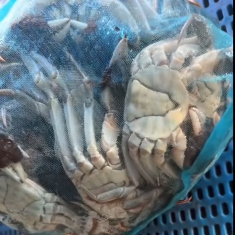 大闸蟹