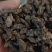 天葵子好货纯干货需要多少下单就可以,数量有限,