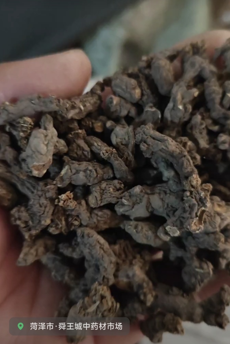 天葵子好货纯干货需要多少下单就可以，数量有限，