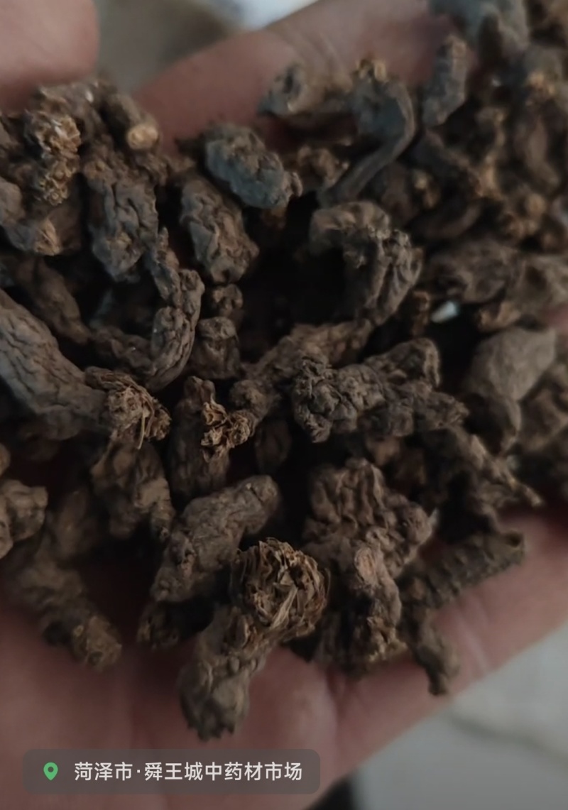天葵子好货纯干货需要多少下单就可以，数量有限，