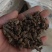 天葵子好货纯干货需要多少下单就可以,数量有限,