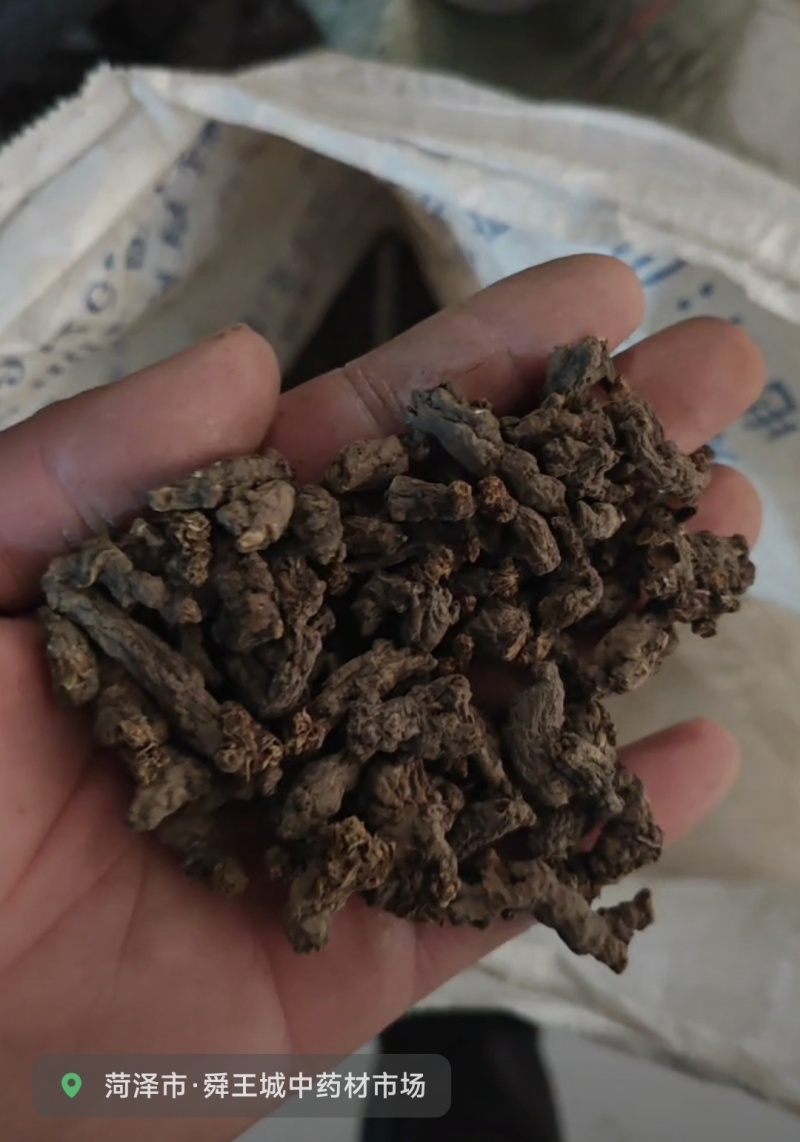 天葵子好货纯干货需要多少下单就可以，数量有限，