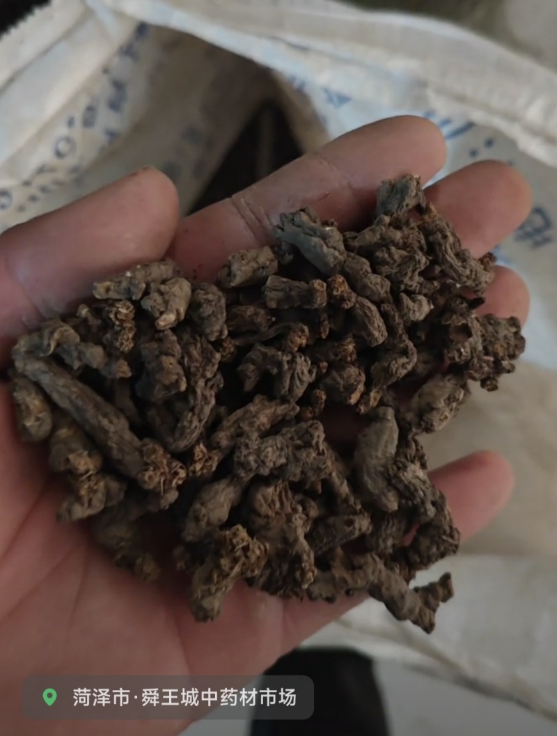 天葵子好货纯干货需要多少下单就可以，数量有限，