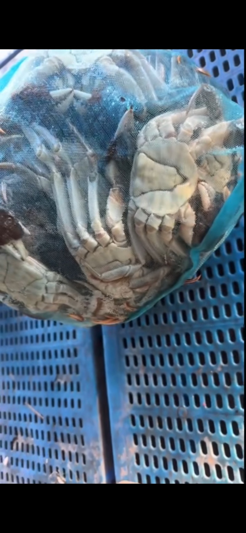 大闸蟹