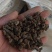 天葵子好货纯干货需要多少下单就可以,数量有限,