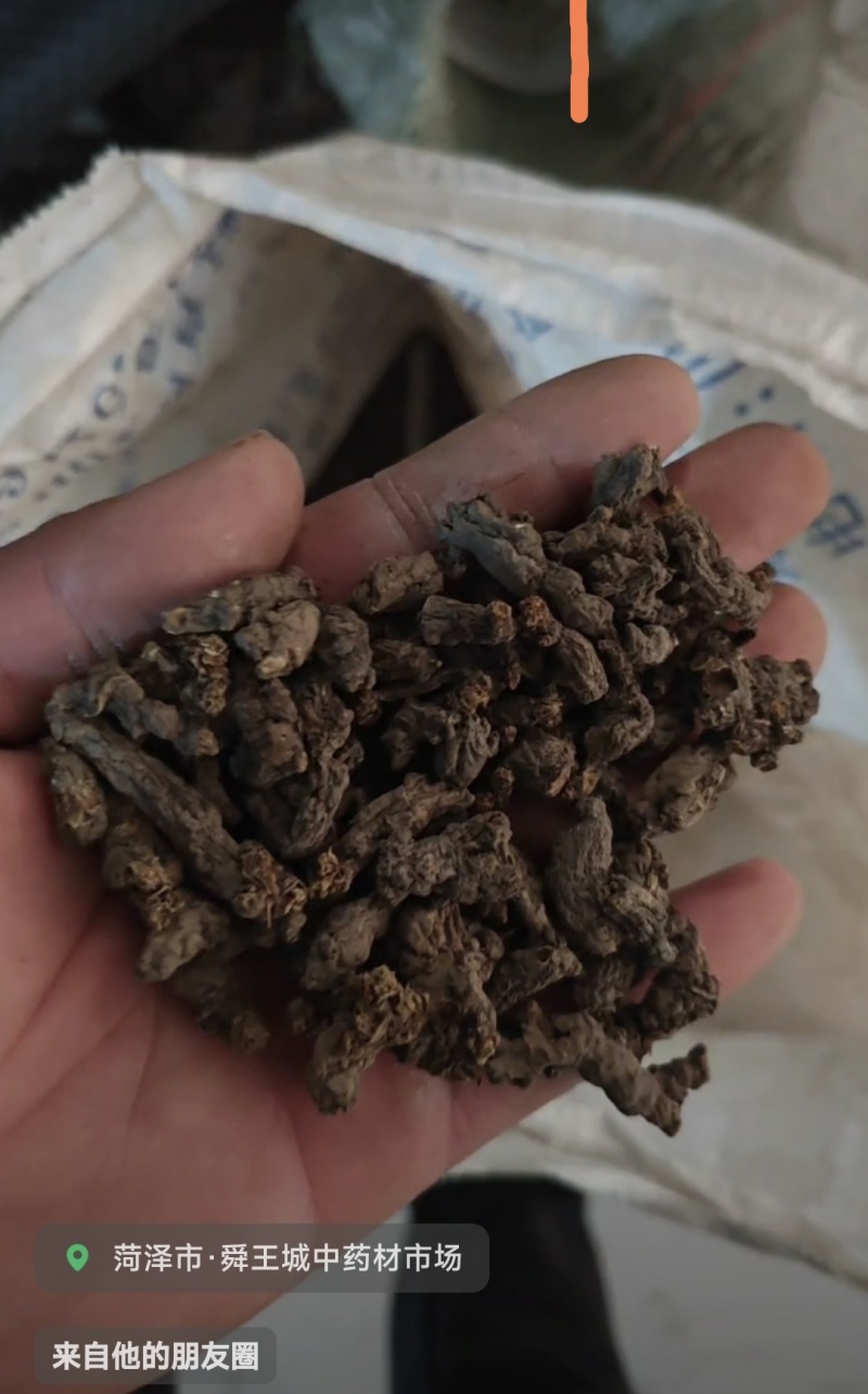 天葵子好货纯干货需要多少下单就可以，数量有限，
