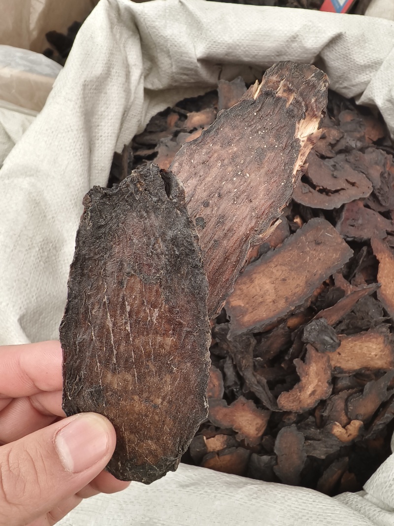 肉苁蓉新肉苁蓉软大芸油性足新疆管花硬大芸内蒙甜大芸批发