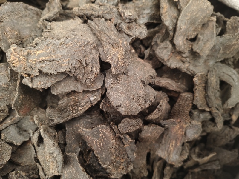 肉苁蓉新肉苁蓉软大芸油性足新疆管花硬大芸内蒙甜大芸批发