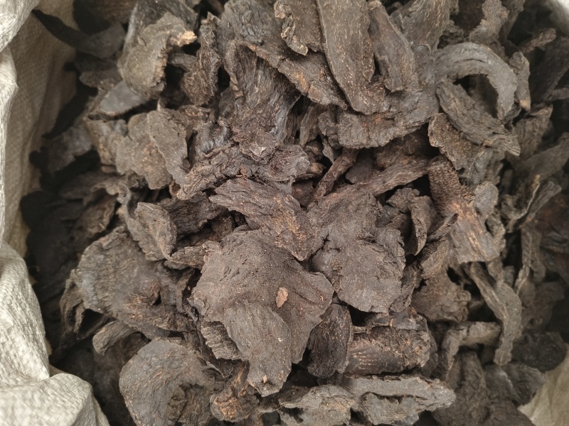 肉苁蓉新肉苁蓉软大芸油性足新疆管花硬大芸内蒙甜大芸批发