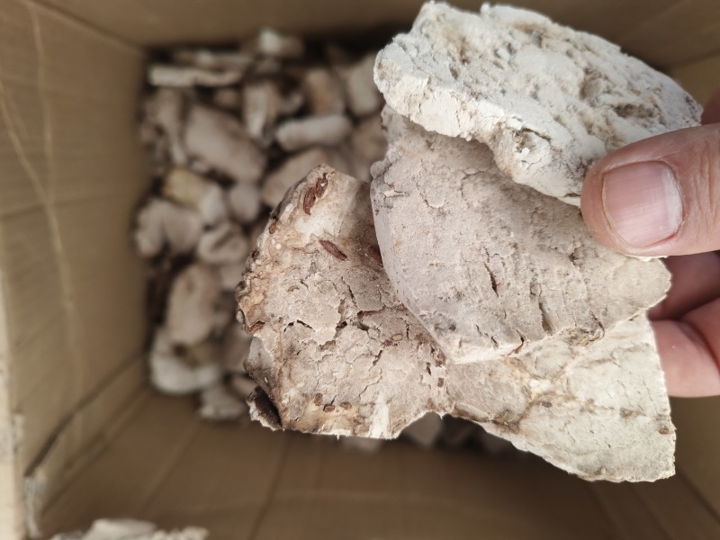 茯神精品茯神新茯神干净无杂大货批发零售假一赔十