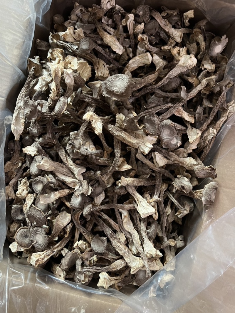 原产地鹿茸菇实力工厂鹿茸菇脆脆菇一件代发支持oem