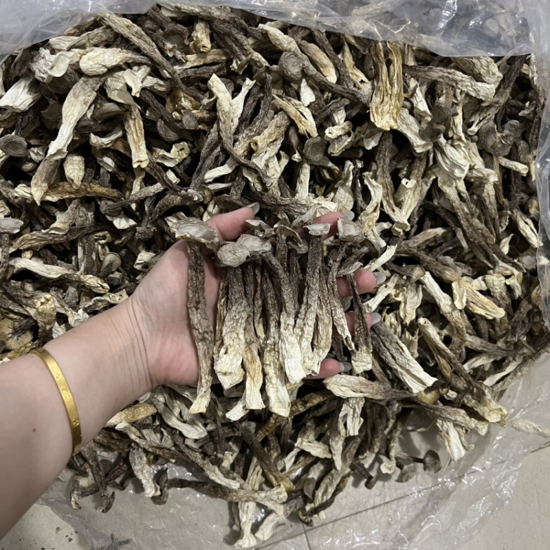 原产地鹿茸菇实力工厂鹿茸菇脆脆菇一件代发支持oem