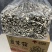 原产地鹿茸菇实力工厂鹿茸菇脆脆菇一件代发支持oem
