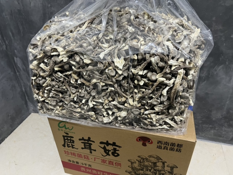 原产地鹿茸菇实力工厂鹿茸菇脆脆菇一件代发支持oem