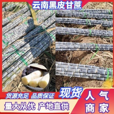 云南黑皮甘蔗量大从优实力代发全国商超保质保量欢迎1
