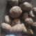 库存土豆，价格毛毛钱，保质保量，代收代发全国各地