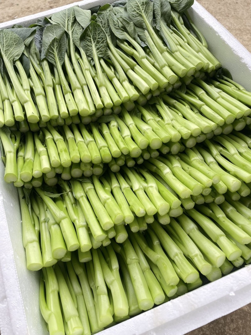 新鲜菜苔甜菜心，健康，营养丰富，口感鲜美，适合炒菜和清蒸