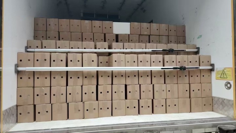 口感番茄礼品箱黑框发货