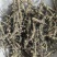 荆芥穗颜色青味道大干净无籽产地直销一手货源