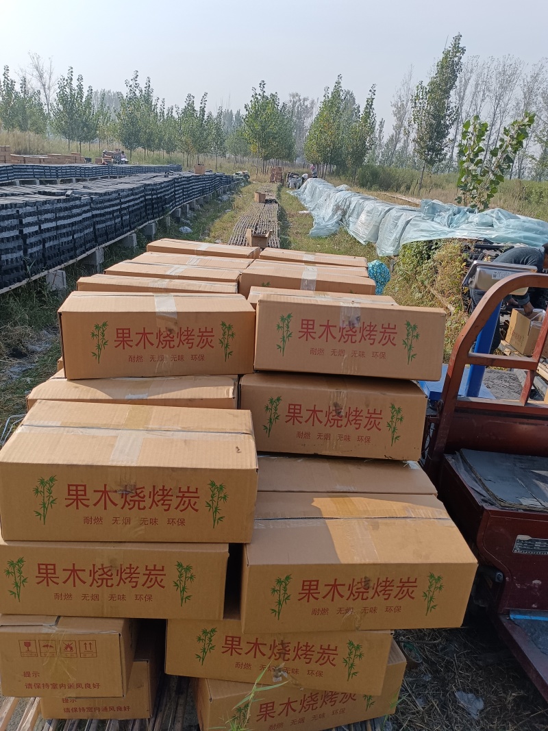 厂家批发供应果木机制取暖炭，烤火炭，烧烤炭