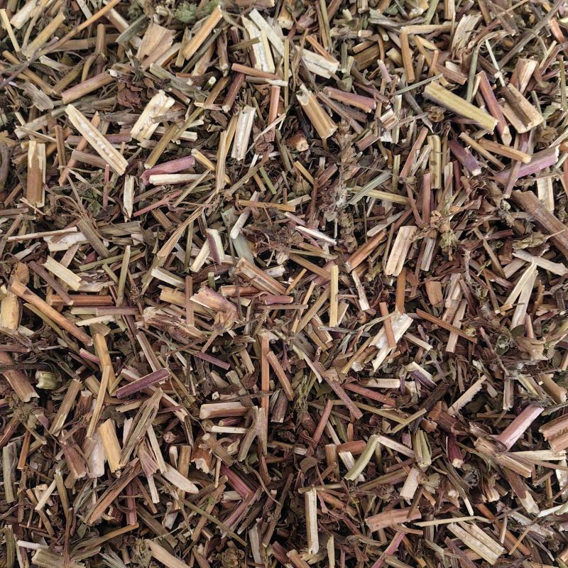 荆芥全荆芥新货颜色好优质除尘产地直销一手货源中药材
