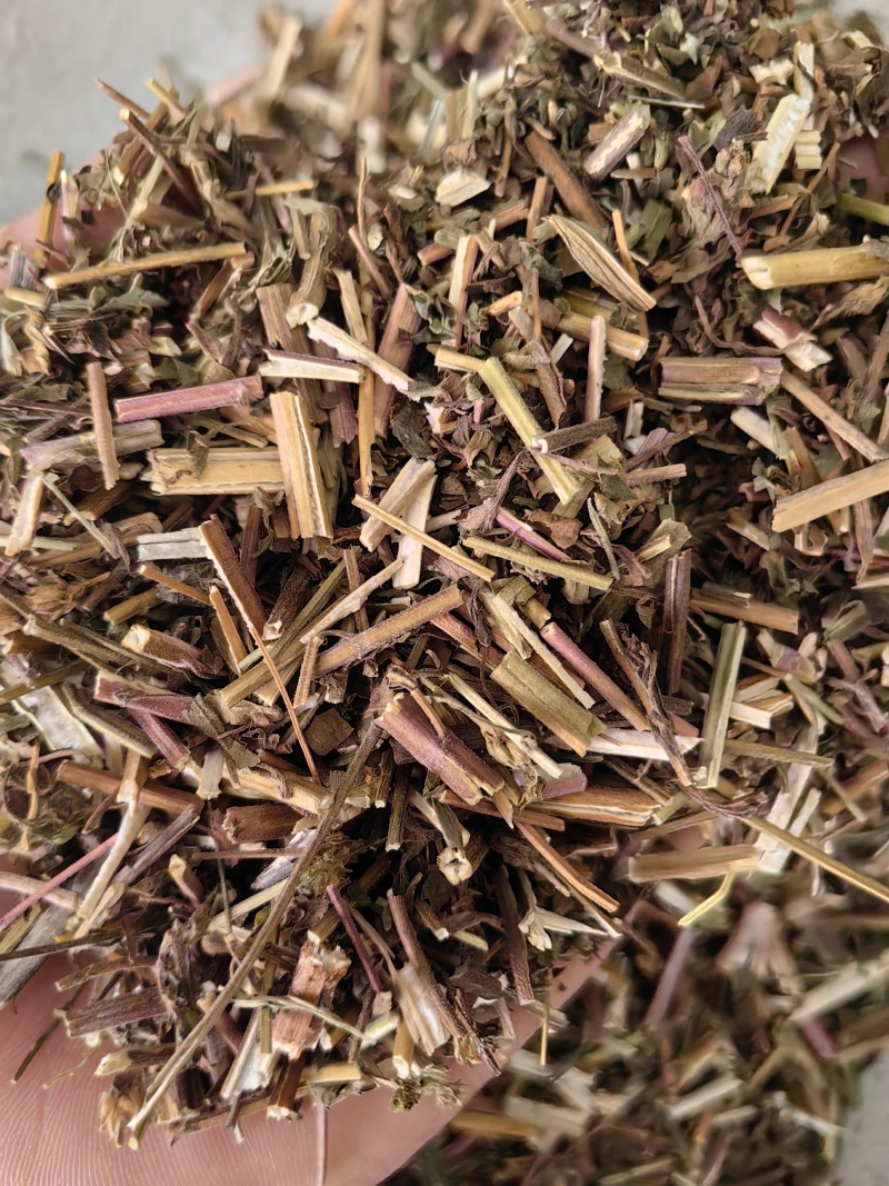 荆芥全荆芥新货颜色好优质除尘产地直销一手货源中药材